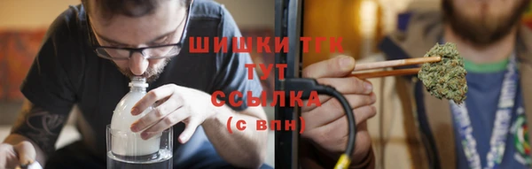 не бодяженный Гусев